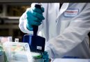 Biotech stocks rally on drug innovation and M&A